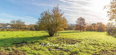 Terrain à Romorantin-Lanthenay en Loir-et-Cher (41) de 4077 m² à vendre au prix de 54990€ - 3