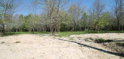 Terrain à Casteljaloux en Lot-et-Garonne (47) de 1029 m² à vendre au prix de 39000€ - 4