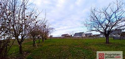 Terrain à Château-Renault en Indre-et-Loire (37) de 2100 m² à vendre au prix de 73180€ - 1