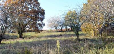 Terrain à Mouleydier en Dordogne (24) de 2240 m² à vendre au prix de 45000€ - 3