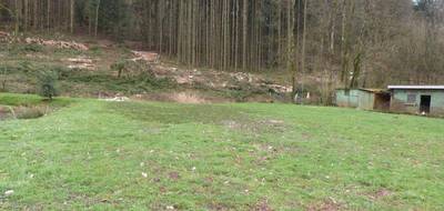 Terrain à Hottviller en Moselle (57) de 803 m² à vendre au prix de 17500€ - 3