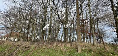 Terrain à Vendhuile en Aisne (02) de 2611 m² à vendre au prix de 26000€ - 2