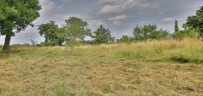 Terrain à Cappelle-en-Pévèle en Nord (59) de 0 m² à vendre au prix de 229000€ - 1