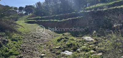 Terrain à Port-Vendres en Pyrénées-Orientales (66) de 727 m² à vendre au prix de 329000€ - 4