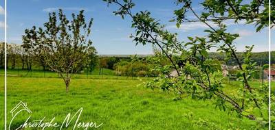 Terrain à Abreschviller en Moselle (57) de 1580 m² à vendre au prix de 80000€ - 2