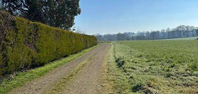 Terrain à Saint-Martin-sur-Oust en Morbihan (56) de 4218 m² à vendre au prix de 30000€ - 3