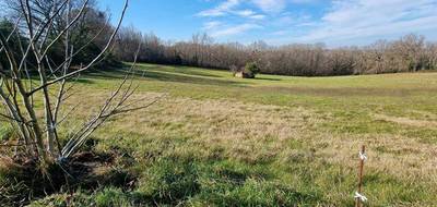 Terrain à Lafrançaise en Tarn-et-Garonne (82) de 1514 m² à vendre au prix de 53000€ - 1