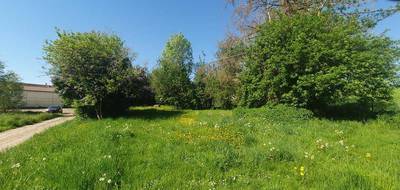 Terrain à Sarcy en Marne (51) de 735 m² à vendre au prix de 59000€ - 4