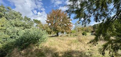 Terrain à Pessac en Gironde (33) de 2000 m² à vendre au prix de 320000€ - 3