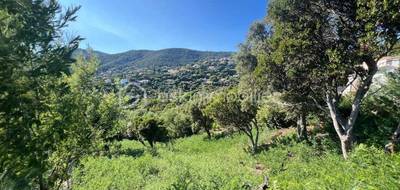 Terrain à La Croix-Valmer en Var (83) de 1198 m² à vendre au prix de 839000€ - 4