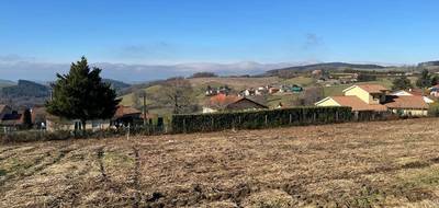 Terrain à Violay en Loire (42) de 1000 m² à vendre au prix de 85000€ - 3