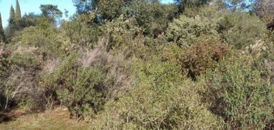 Terrain à Le Cannet-des-Maures en Var (83) de 0 m² à vendre au prix de 146790€ - 4
