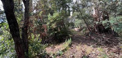 Terrain à Roquebrune-sur-Argens en Var (83) de 1630 m² à vendre au prix de 728000€ - 3