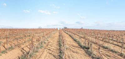 Terrain à Bélarga en Hérault (34) de 57000 m² à vendre au prix de 104000€ - 1