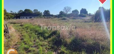 Terrain à Cours-les-Barres en Cher (18) de 1749 m² à vendre au prix de 34990€ - 1