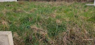 Terrain à Pontivy en Morbihan (56) de 498 m² à vendre au prix de 56000€ - 3