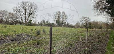 Terrain à Airon-Notre-Dame en Pas-de-Calais (62) de 18091 m² à vendre au prix de 40200€ - 1