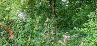 Terrain à Buire-Courcelles en Somme (80) de 7000 m² à vendre au prix de 75000€ - 2