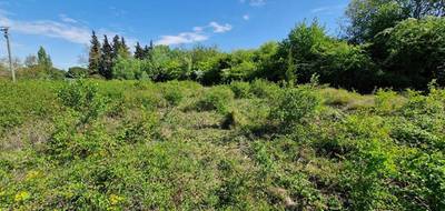 Terrain à Bollène en Vaucluse (84) de 1514 m² à vendre au prix de 121000€ - 1