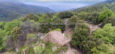 Terrain à Glorianes en Pyrénées-Orientales (66) de 990000 m² à vendre au prix de 535000€ - 1