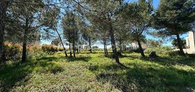 Terrain à Nîmes en Gard (30) de 1000 m² à vendre au prix de 315000€ - 2