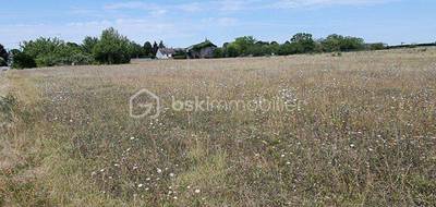 Terrain à Boësses en Loiret (45) de 7973 m² à vendre au prix de 49500€ - 3