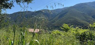 Terrain à Occhiatana en Haute-Corse (2B) de 623 m² à vendre au prix de 136800€ - 4