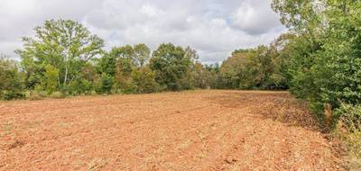 Terrain à Cherveix-Cubas en Dordogne (24) de 2535 m² à vendre au prix de 26000€ - 3