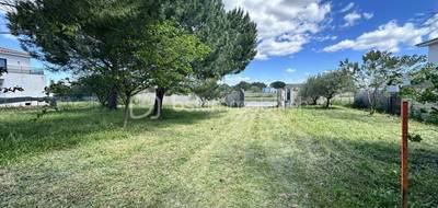 Terrain à Aimargues en Gard (30) de 1977 m² à vendre au prix de 650000€ - 1
