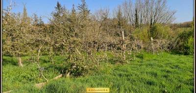 Terrain à Landivisiau en Finistère (29) de 3650 m² à vendre au prix de 250000€ - 4