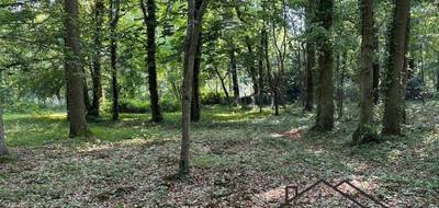Terrain à Lamorlaye en Oise (60) de 6157 m² à vendre au prix de 630000€ - 4