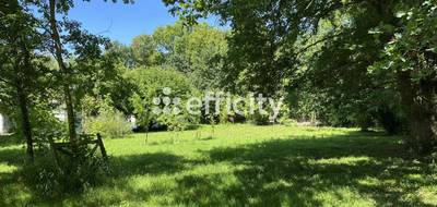 Terrain à Saujon en Charente-Maritime (17) de 6082 m² à vendre au prix de 167000€ - 4