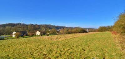 Terrain à Raival en Meuse (55) de 18614 m² à vendre au prix de 186000€ - 3