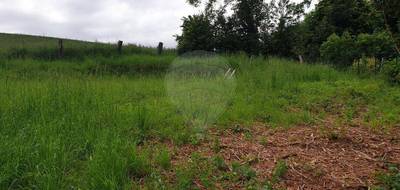Terrain à Brimeux en Pas-de-Calais (62) de 1026 m² à vendre au prix de 30000€ - 4