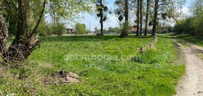 Terrain à Chivres-en-Laonnois en Aisne (02) de 6242 m² à vendre au prix de 25000€ - 3