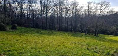 Terrain à Buros en Pyrénées-Atlantiques (64) de 5000 m² à vendre au prix de 120000€ - 2