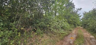 Terrain à Régusse en Var (83) de 5133 m² à vendre au prix de 6500€ - 2