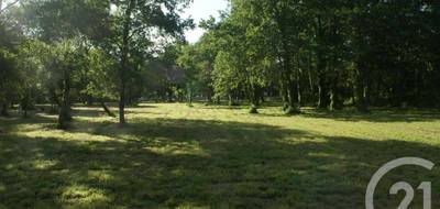 Terrain à Saint-Vivien-de-Médoc en Gironde (33) de 3960 m² à vendre au prix de 80000€ - 1