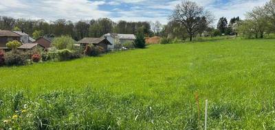 Terrain à Sorbey en Meuse (55) de 1580 m² à vendre au prix de 75000€ - 2