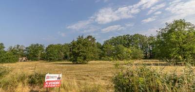 Terrain à La Ferté-Imbault en Loir-et-Cher (41) de 7161 m² à vendre au prix de 56990€ - 2