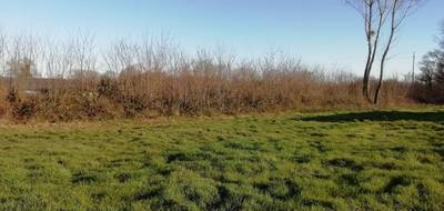 Terrain à Pont-de-Vaux en Ain (01) de 2268 m² à vendre au prix de 45000€ - 3