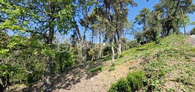 Terrain à Les Adrets-de-l'Estérel en Var (83) de 5909 m² à vendre au prix de 450000€ - 1