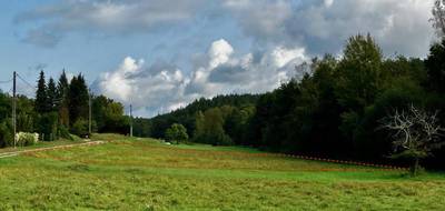 Terrain à Philippsbourg en Moselle (57) de 1811 m² à vendre au prix de 69000€ - 3