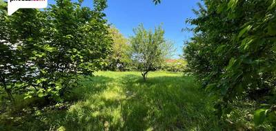Terrain à Saint-Fort-sur-Gironde en Charente-Maritime (17) de 1255 m² à vendre au prix de 36990€ - 3