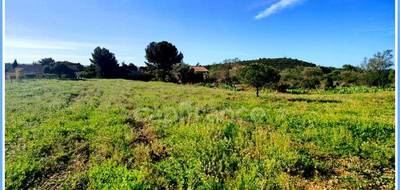 Terrain à Pézenas en Hérault (34) de 2673 m² à vendre au prix de 249500€ - 1