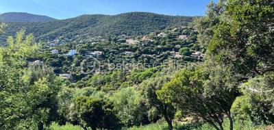 Terrain à La Croix-Valmer en Var (83) de 1198 m² à vendre au prix de 839000€ - 2