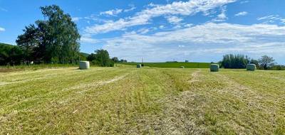 Terrain à Saint-Amour en Jura (39) de 4000 m² à vendre au prix de 90000€ - 3