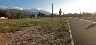 Terrain à Ille-sur-Têt en Pyrénées-Orientales (66) de 1875 m² à vendre au prix de 165502€ - 3