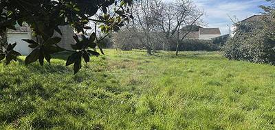 Terrain à Les Mathes en Charente-Maritime (17) de 1306 m² à vendre au prix de 170000€ - 1