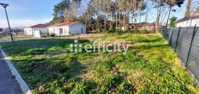 Terrain à Magescq en Landes (40) de 603 m² à vendre au prix de 140000€ - 2